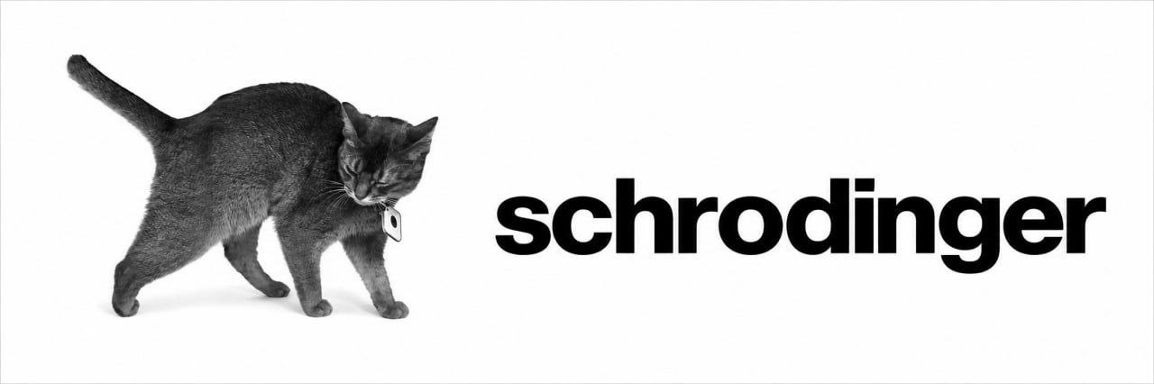 Original Schrödinger cat and wordmark banner