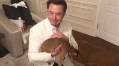 Original photograph of the cat being held